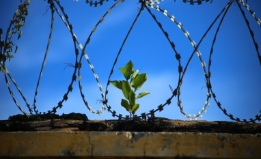 Поведінка під час допиту із застосуванням тортур jfp.org.ua